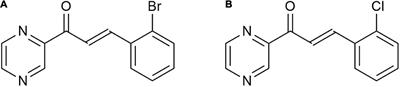 Comprehensive insight into anti-staphylococcal and anti-enterococcal action of brominated and chlorinated pyrazine-based chalcones